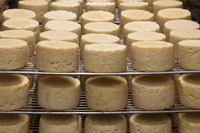 CatchWeightsAndERP_200x133