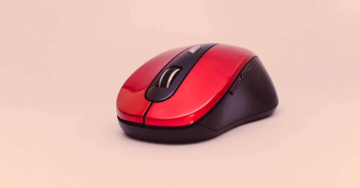 A computer mouse