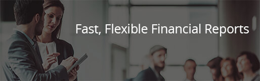 Fast, Flexible Financial Reports