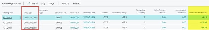 consumption item ledger entry