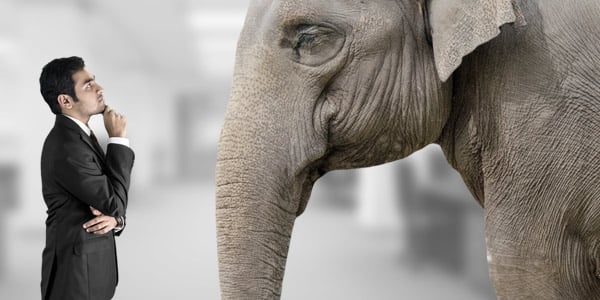 email-1-elephant-in-the-room