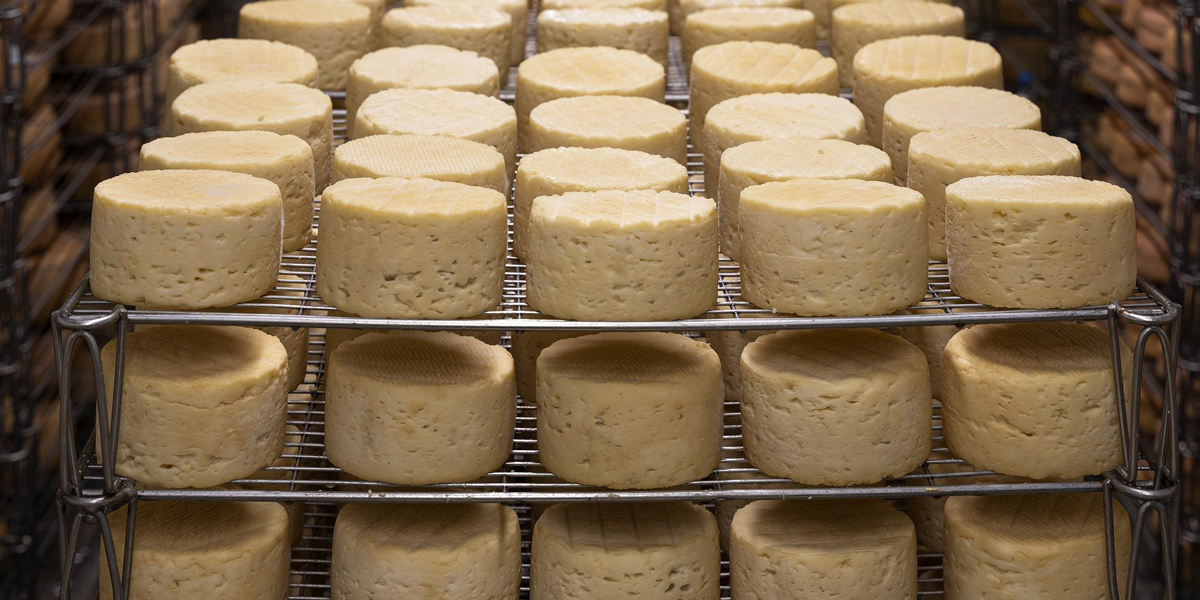 Catch Weights and ERP, What You Need to Know.